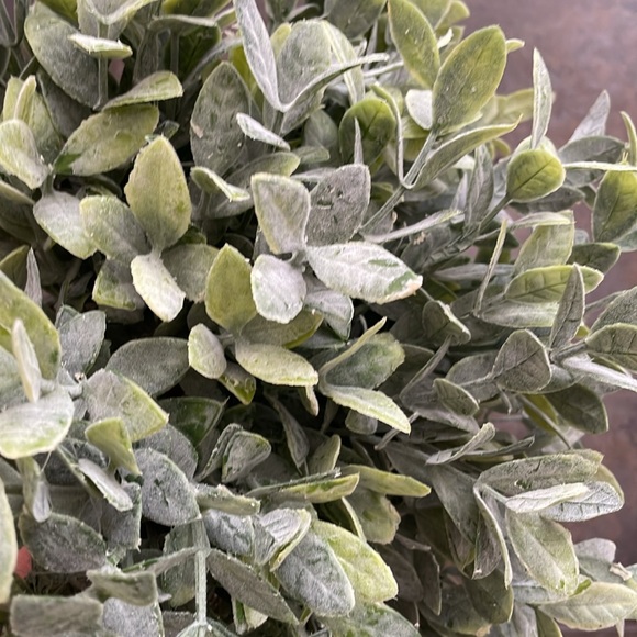 Bundle of 5 Faux Greenery - Picture 7 of 17